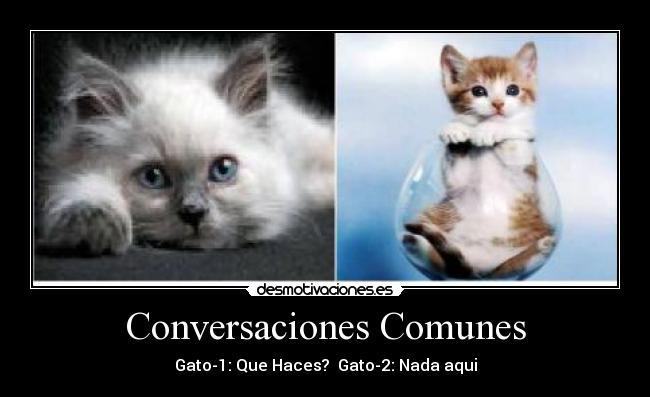 Conversaciones Comunes - 