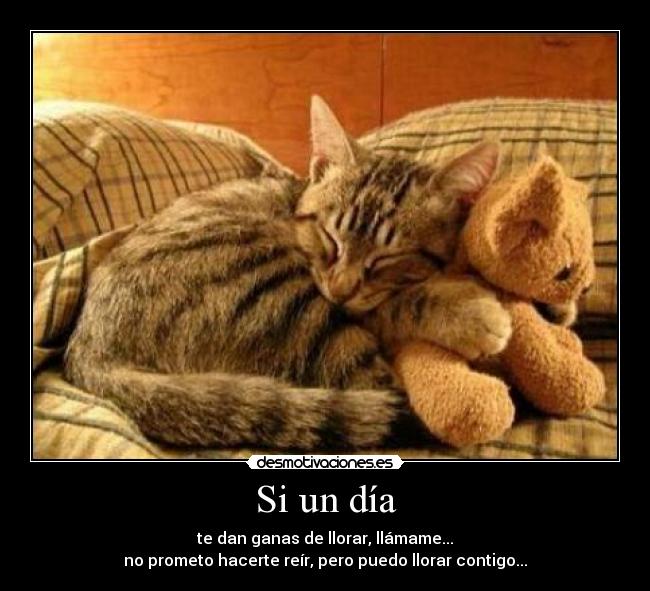 Si un día -