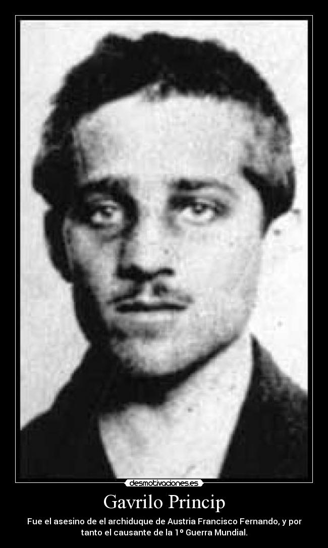 carteles gavriloprincipguerra desmotivaciones