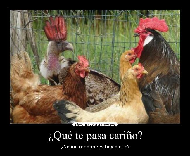 ¿Qué te pasa cariño? - ¿No me reconoces hoy o qué?