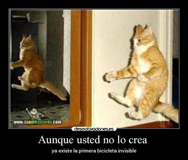 carteles desmotivaciones