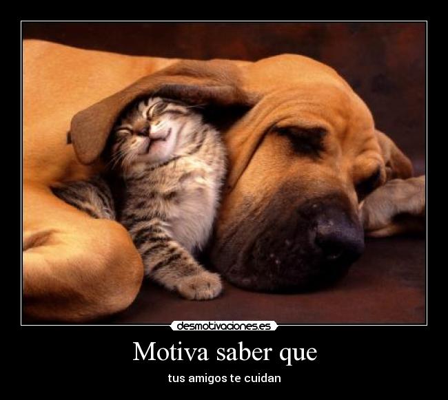 Motiva saber que - tus amigos te cuidan