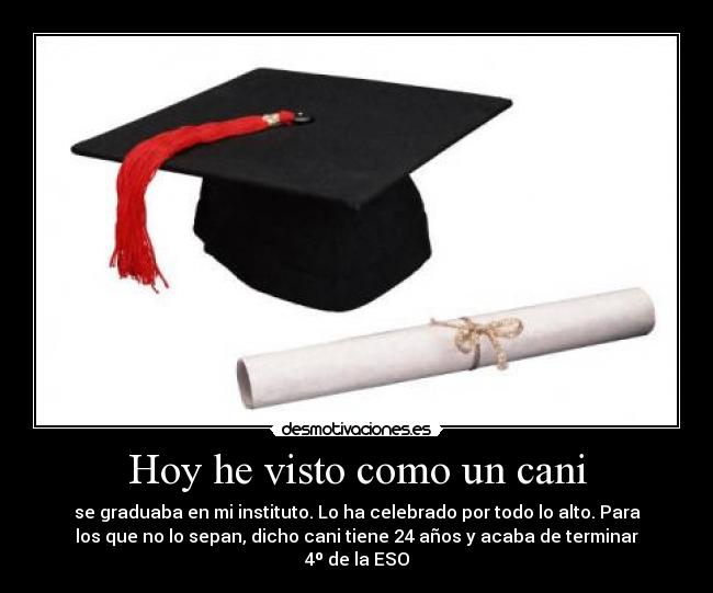 Hoy he visto como un cani - 