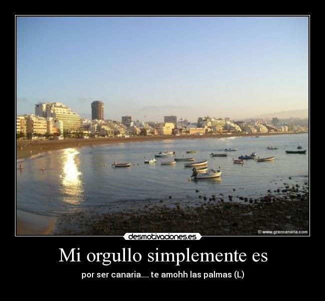 carteles fat4ever desmotivaciones