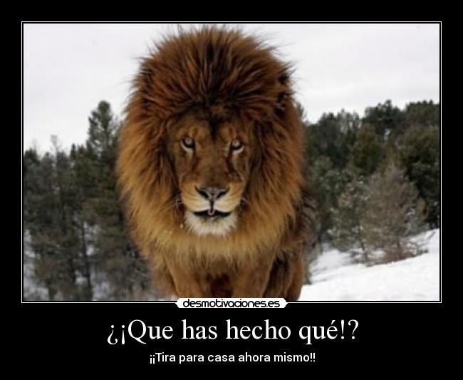 ¿¡Que has hecho qué!? - ¡¡Tira para casa ahora mismo!!