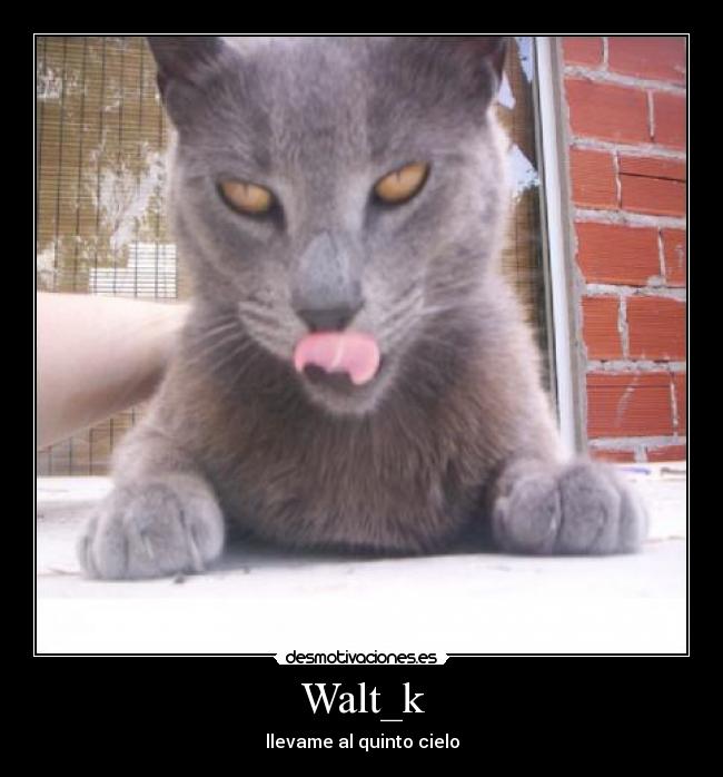 Walt_k - llevame al quinto cielo