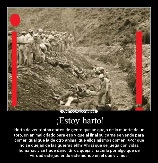 ¡Estoy harto! - 