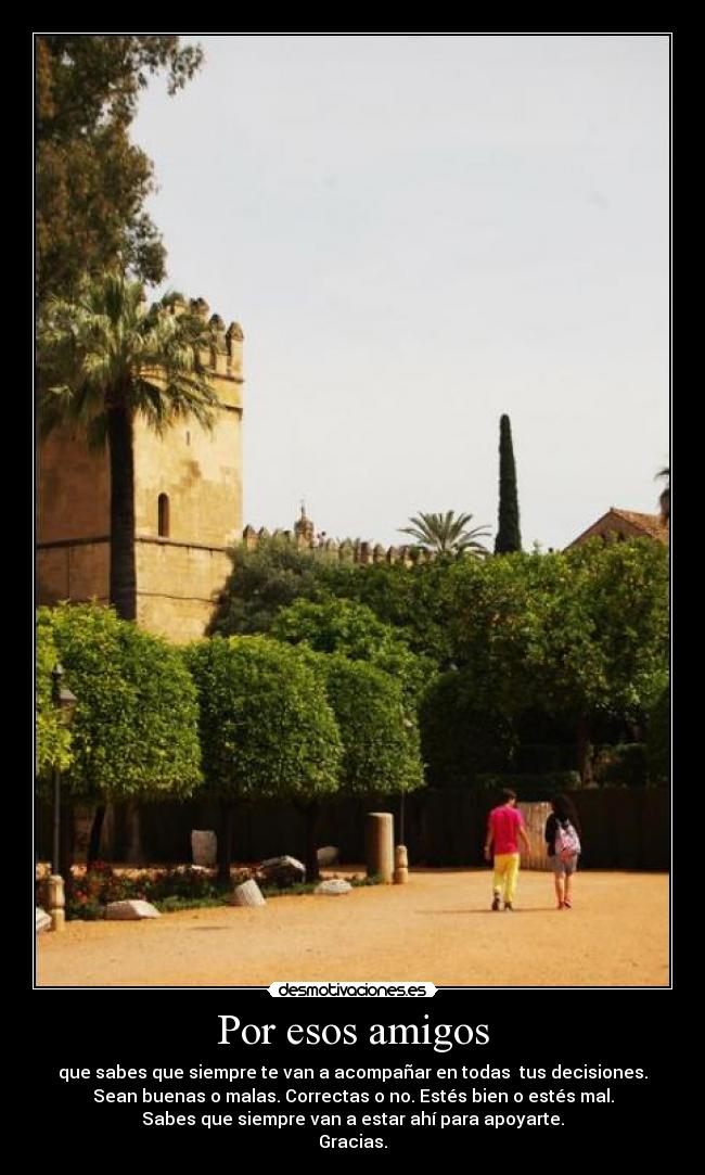 Por esos amigos - 
