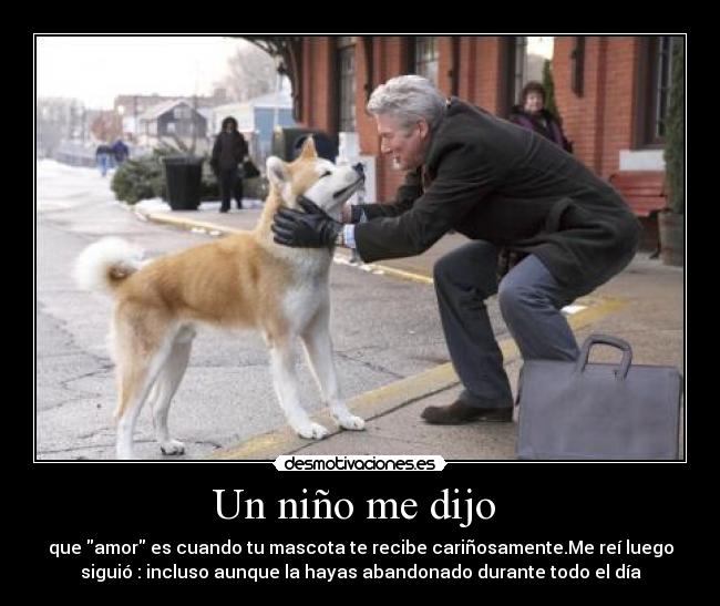 Un niño me dijo - que amor es cuando tu mascota te recibe cariñosamente.Me reí luego
siguió : incluso aunque la hayas abandonado durante todo el día