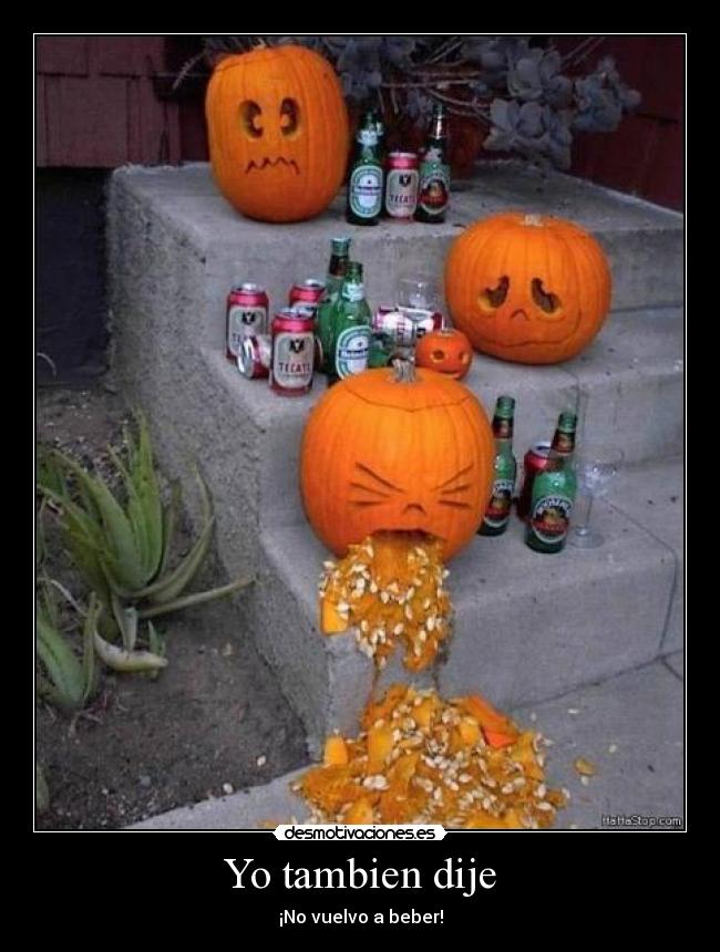 Yo tambien dije - ¡No vuelvo a beber!