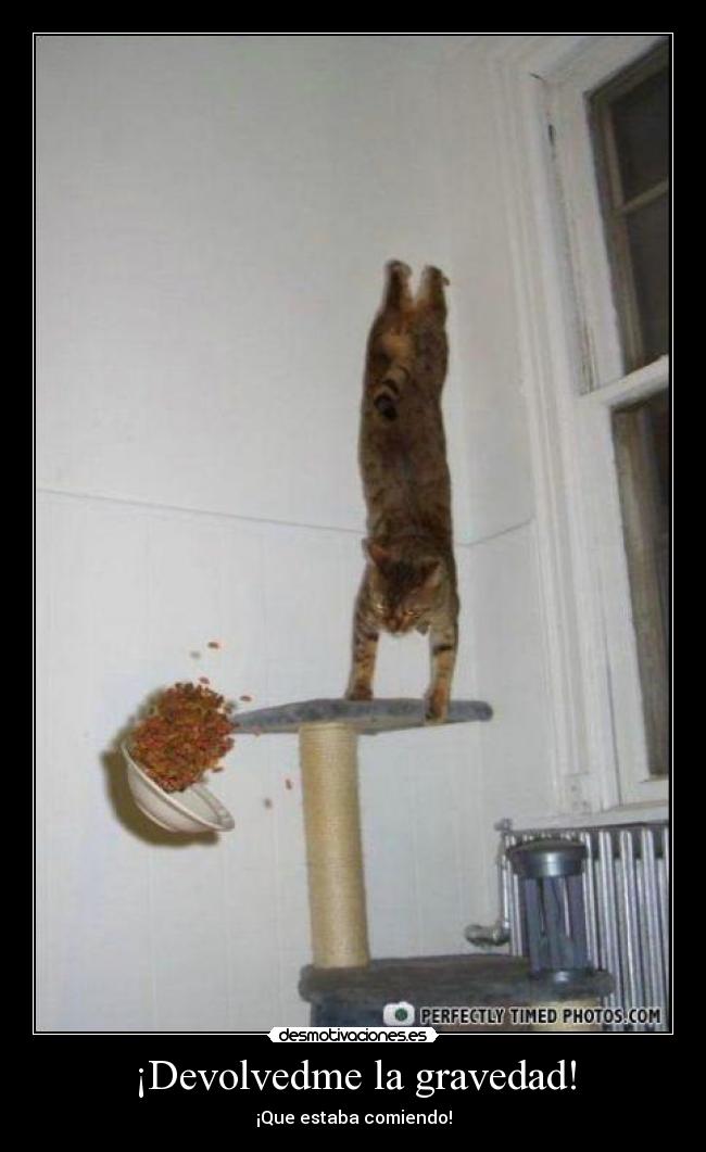 ¡Devolvedme la gravedad! - ¡Que estaba comiendo!