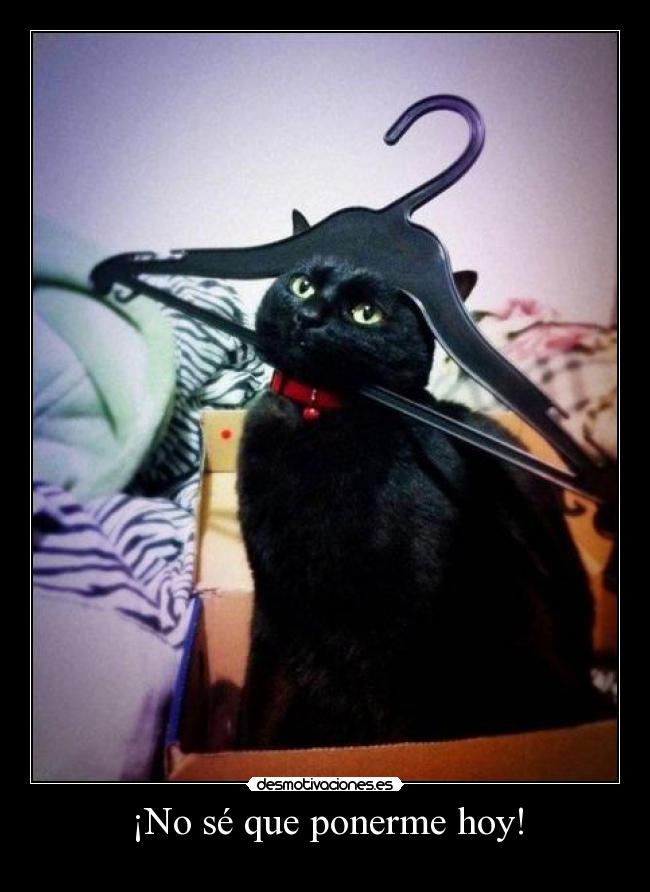 ¡No sé que ponerme hoy! - 