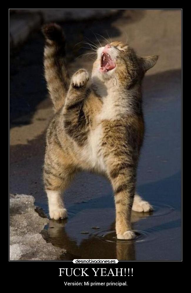 FUCK YEAH!!! - 