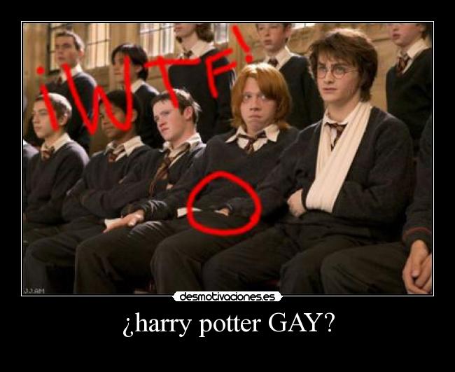 ¿harry potter GAY? -