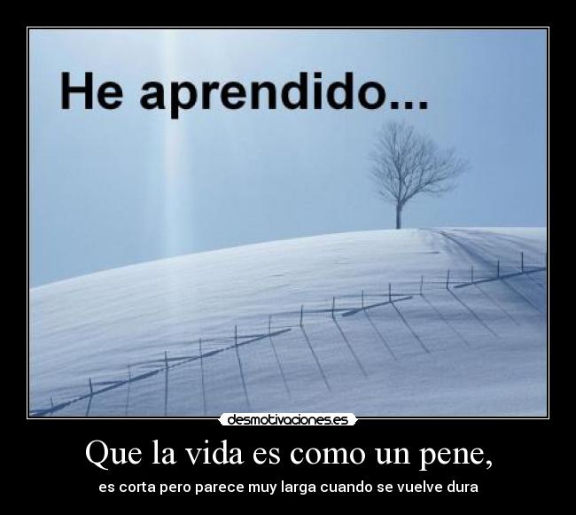 Que la vida es como un pene, - es corta pero parece muy larga cuando se vuelve dura