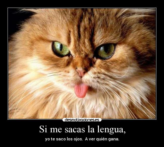 Si me sacas la lengua, - yo te saco los ojos.  A ver quién gana.
