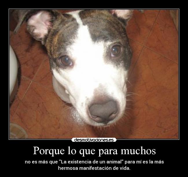 Porque lo que para muchos - 