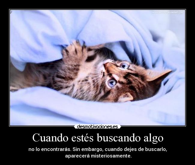 Cuando estés buscando algo -