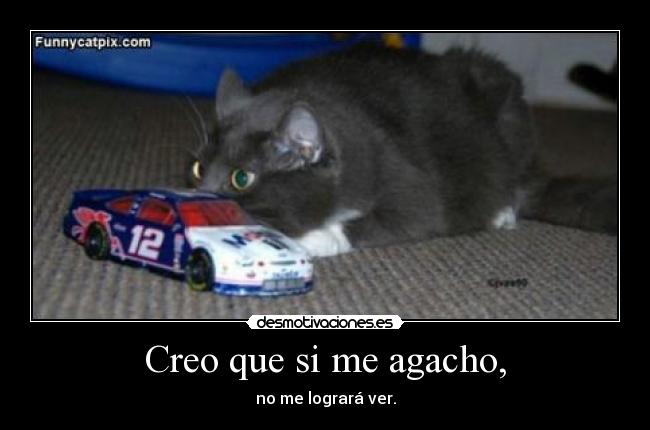 Creo que si me agacho, - no me logrará ver.