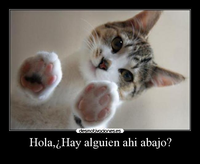 Hola,¿Hay alguien ahi abajo? - 