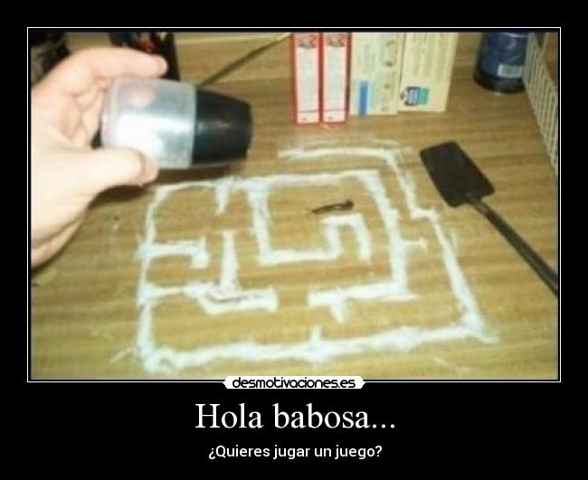 Hola babosa... -