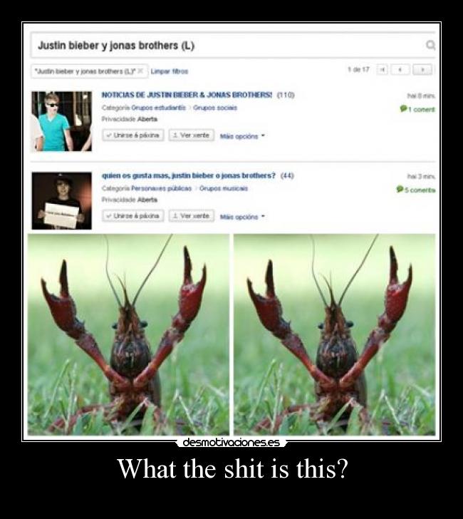 What the shit is this? -