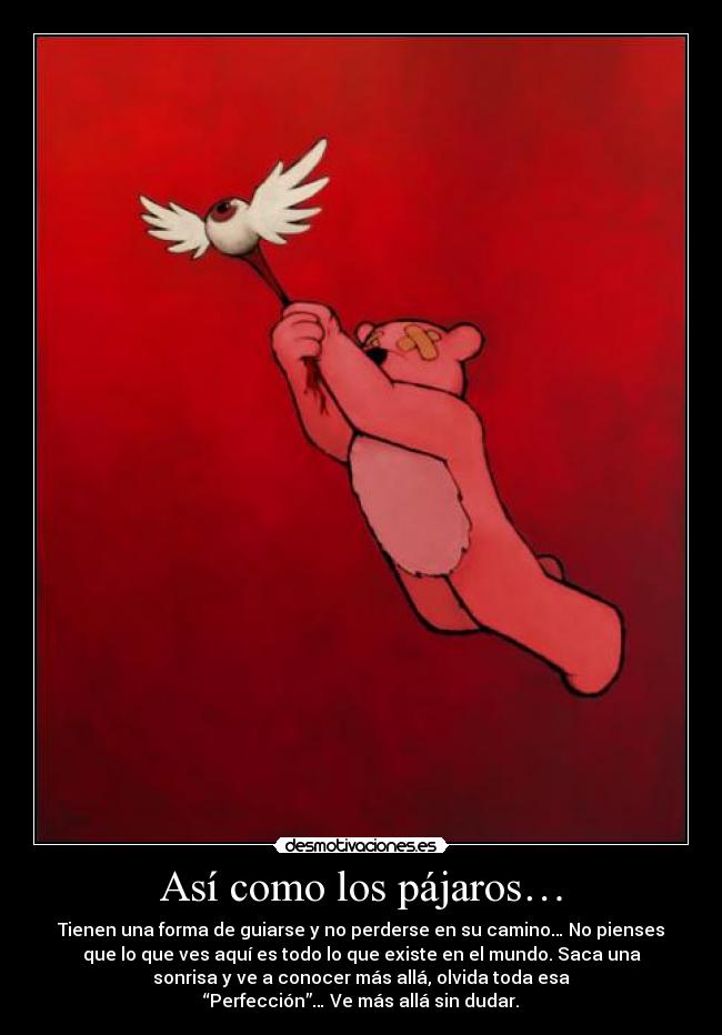 Así como los pájaros… -