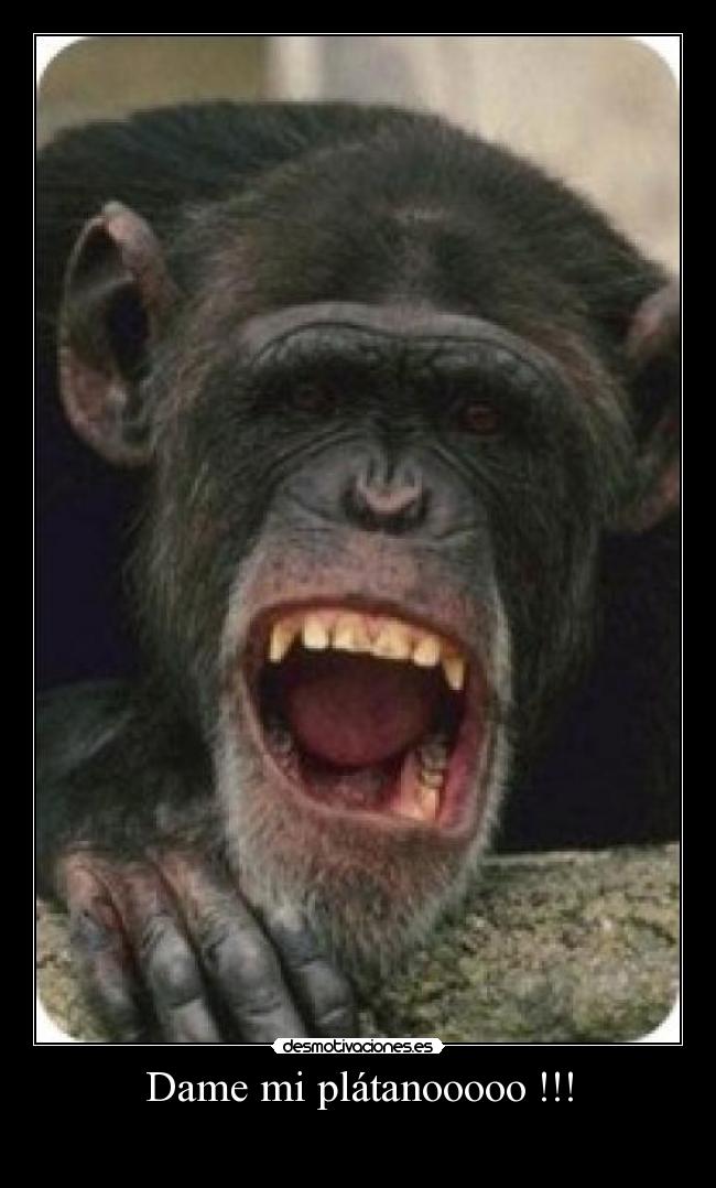 Dame mi plátanooooo !!! - 
