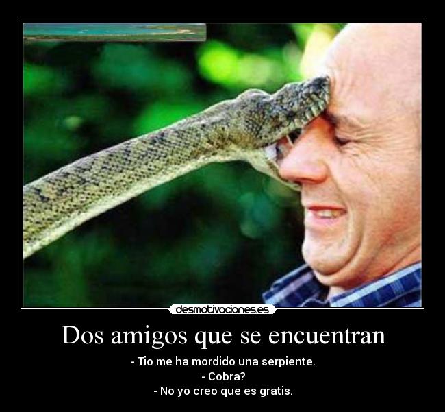 Dos amigos que se encuentran -