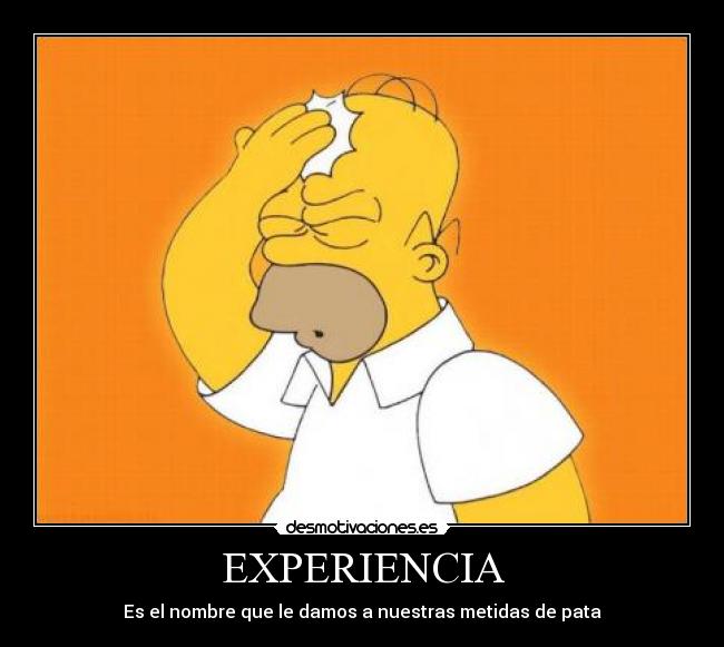 EXPERIENCIA - 