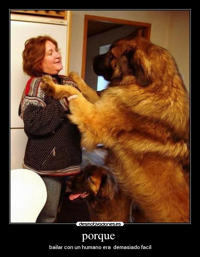 porque - bailar con un humano era demasiado facil