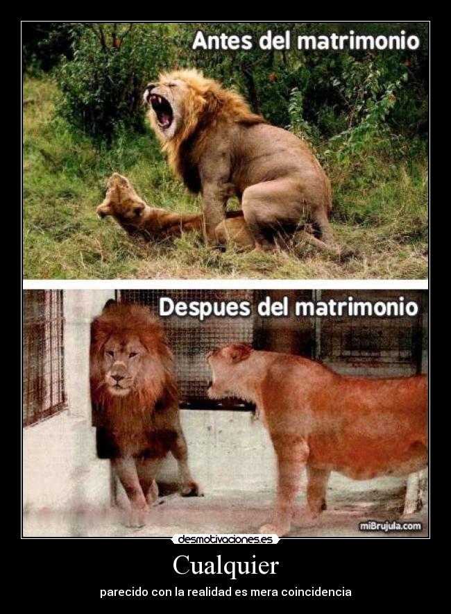 Cualquier - parecido con la realidad es mera coincidencia