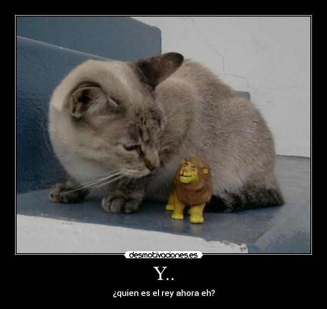 Y.. - ¿quien es el rey ahora eh?