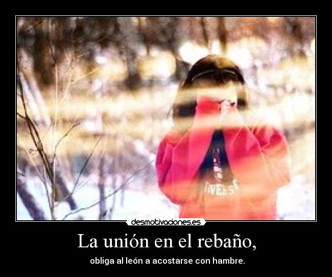 La unión en el rebaño, -