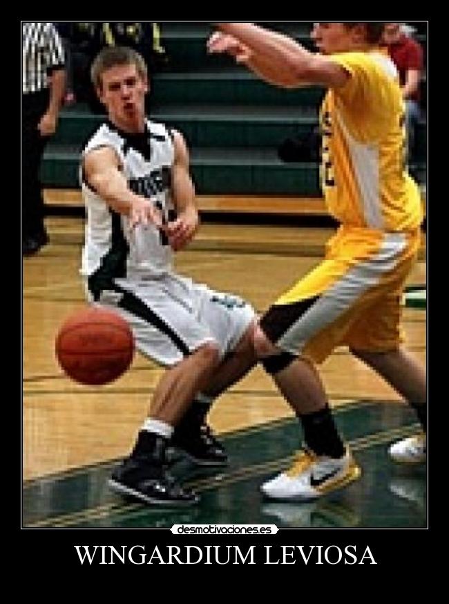 WINGARDIUM LEVIOSA - 