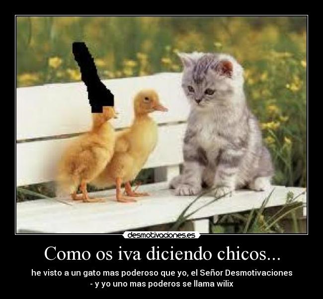 Como os iva diciendo chicos... - he visto a un gato mas poderoso que yo, el Señor Desmotivaciones
- y yo uno mas poderos se llama wilix