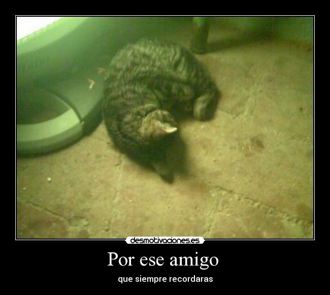 Por ese amigo  - que siempre recordaras