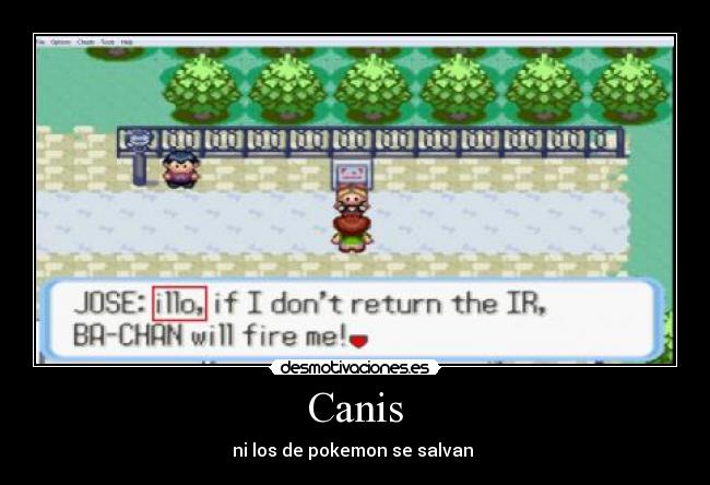 Canis - ni los de pokemon se salvan