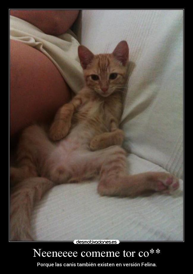 Neeneeee comeme tor co** - 