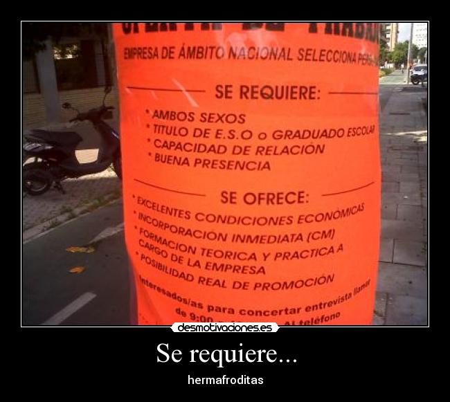 carteles hermafroditas desmotivaciones