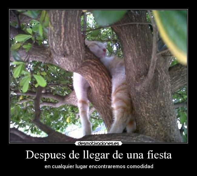 Despues de llegar de una fiesta - 