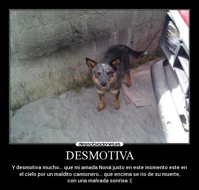 carteles nona perros desmotiva desmotivaciones