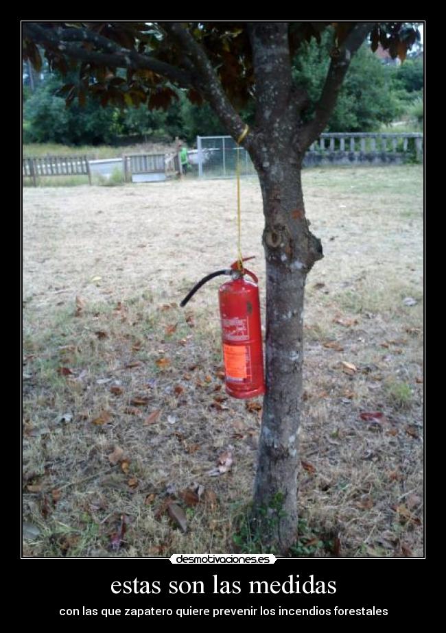 estas son las medidas - con las que zapatero quiere prevenir los incendios forestales