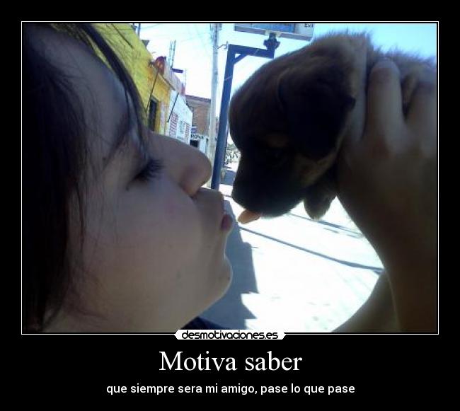 Motiva saber - 