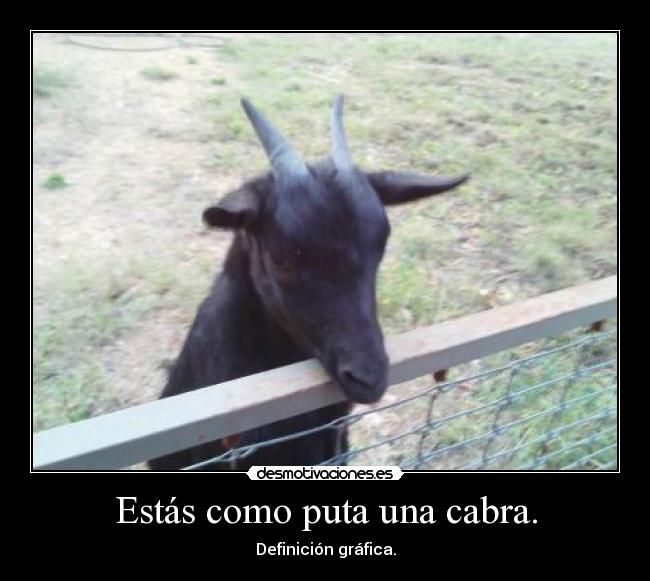 Estás como puta una cabra. - Definición gráfica.