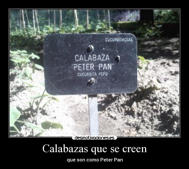 carteles peter-pan-calabacas-que-se-creen desmotivaciones