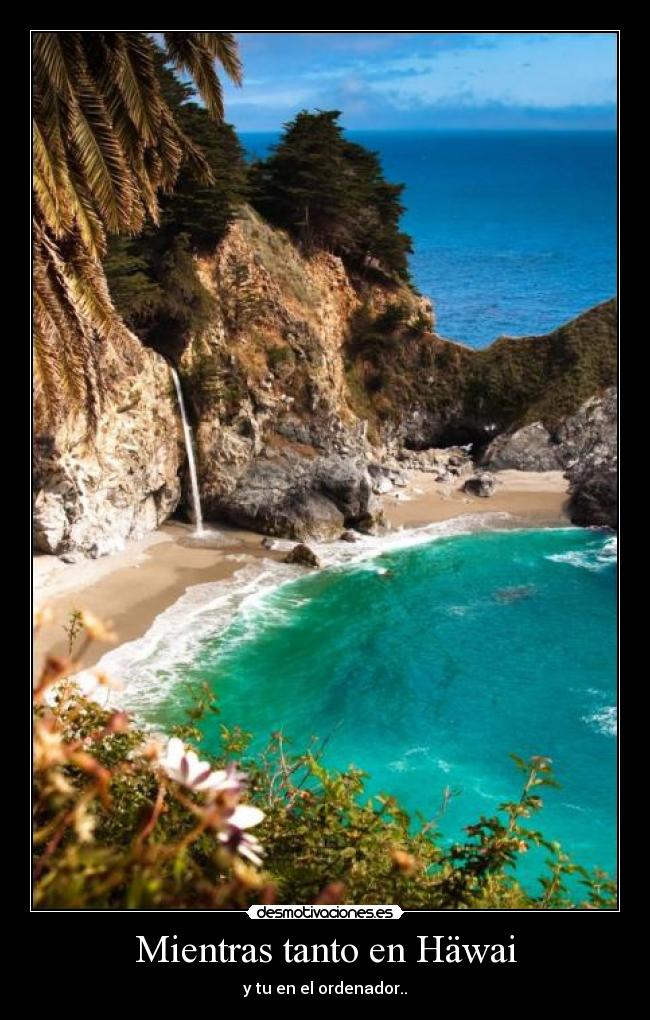 Mientras tanto en Häwai - y tu en el ordenador..