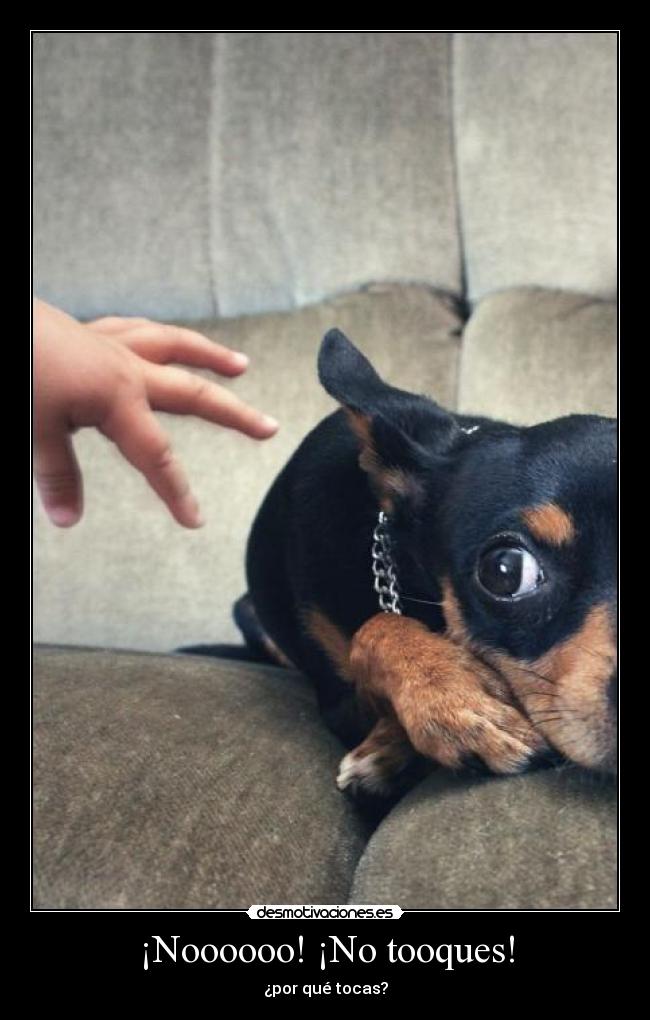 ¡Noooooo! ¡No tooques! - ¿por qué tocas?