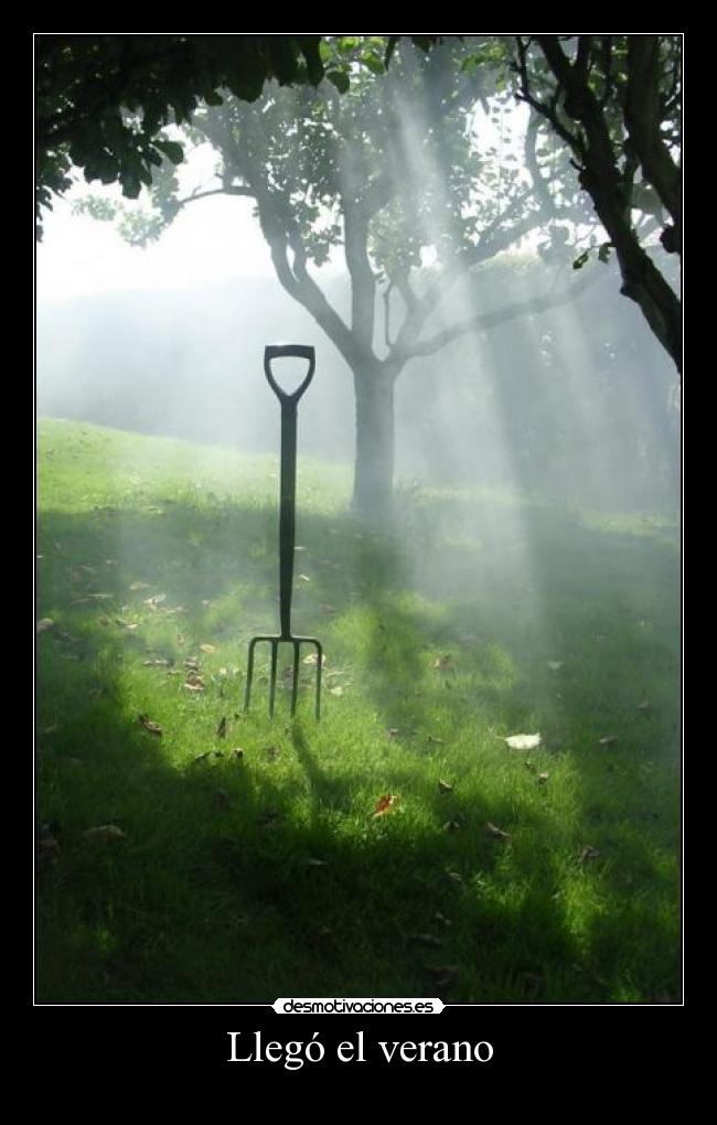 Llegó el verano - 