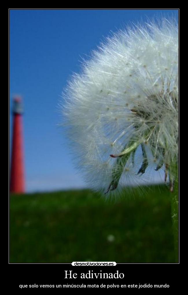 He adivinado - que solo vemos un minúscula mota de polvo en este jodido mundo